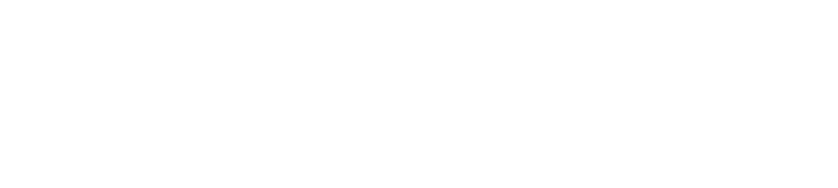 Ollin Surfaces | California